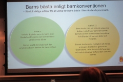 Barnens bästa vid återvändande (5)