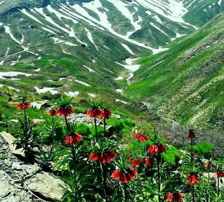 KURDISKA  v22